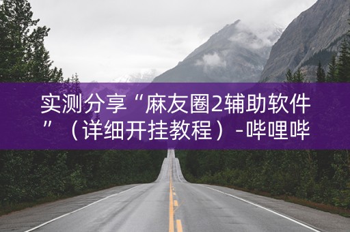 实测分享“麻友圈2辅助软件”（详细开挂教程）-哔哩哔哩