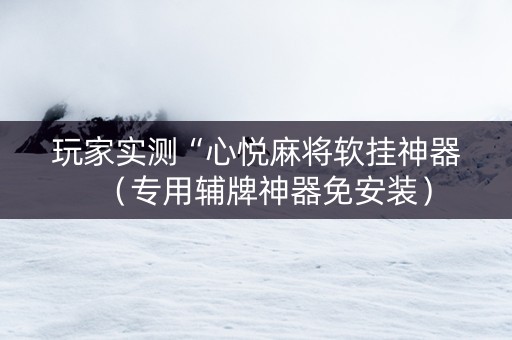 玩家实测“心悦麻将软挂神器（专用辅牌神器免安装）