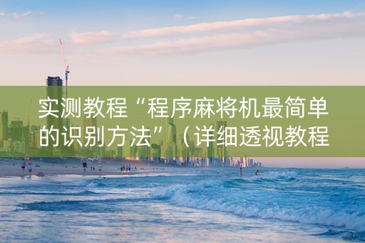 实测教程“程序麻将机最简单的识别方法”（详细透视教程）-哔哩哔哩