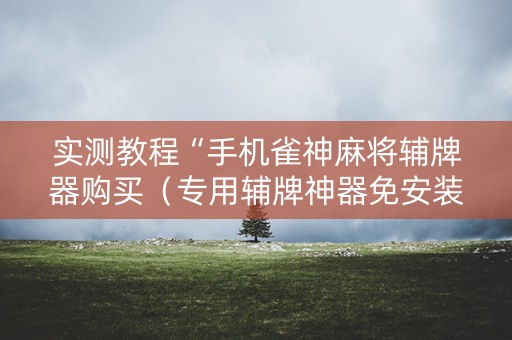 实测教程“手机雀神麻将辅牌器购买（专用辅牌神器免安装）