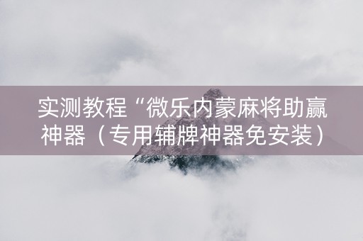 实测教程“微乐内蒙麻将助赢神器（专用辅牌神器免安装）