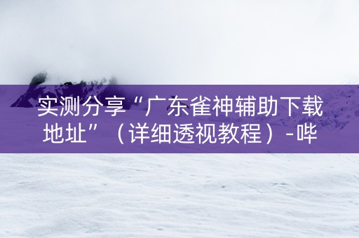 实测分享“广东雀神辅助下载地址”（详细透视教程）-哔哩哔哩