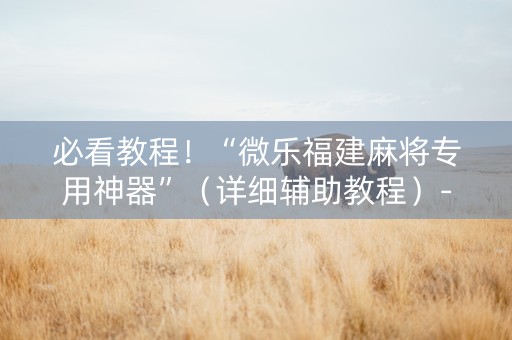 必看教程！“微乐福建麻将专用神器”（详细辅助教程）-哔哩哔哩