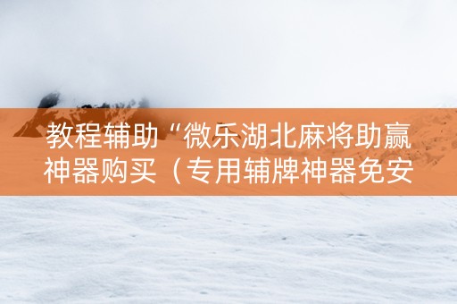 教程辅助“微乐湖北麻将助赢神器购买（专用辅牌神器免安装）