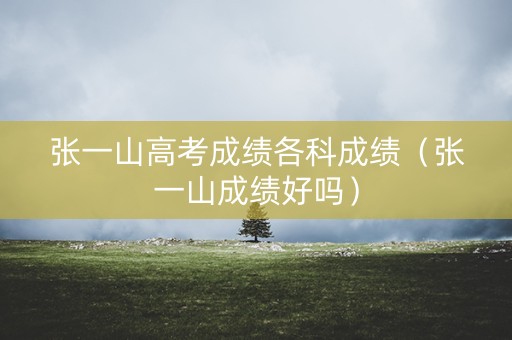 张一山高考成绩各科成绩（张一山成绩好吗）