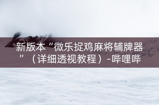 新版本“微乐捉鸡麻将辅牌器”（详细透视教程）-哔哩哔哩