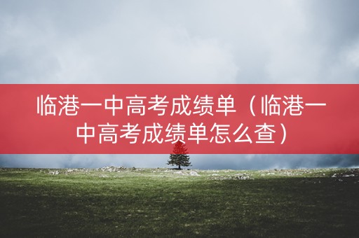 临港一中高考成绩单（临港一中高考成绩单怎么查）