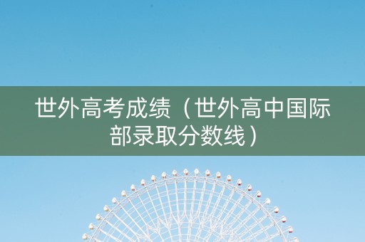 世外高考成绩（世外高中国际部录取分数线）