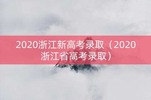 2020浙江新高考录取（2020浙江省高考录取）