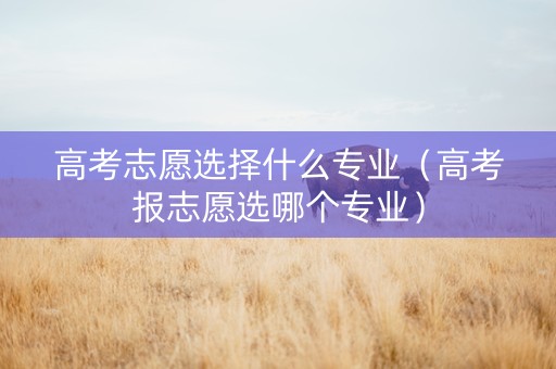高考志愿选择什么专业（高考报志愿选哪个专业）