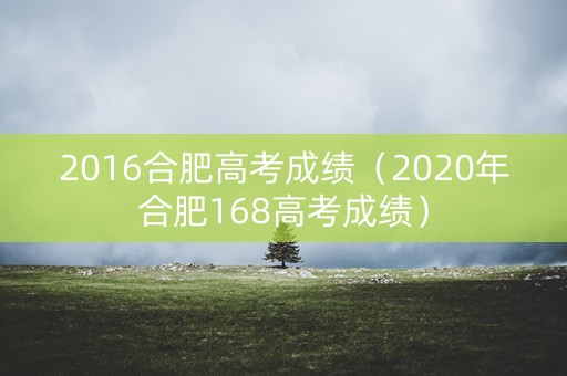 2016合肥高考成绩（2020年合肥168高考成绩）
