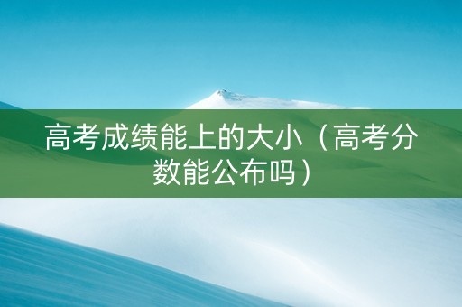 高考成绩能上的大小（高考分数能公布吗）