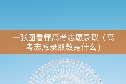 一张图看懂高考志愿录取（高考志愿录取数是什么）