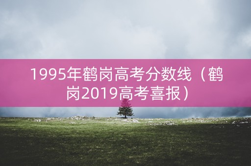 1995年鹤岗高考分数线（鹤岗2019高考喜报）