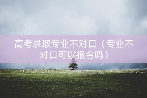 高考录取专业不对口（专业不对口可以报名吗）