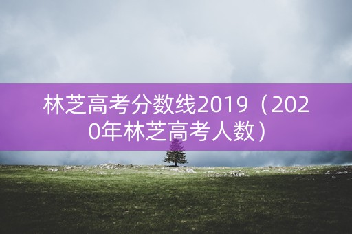 林芝高考分数线2019（2020年林芝高考人数）