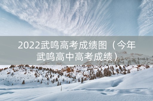 2022武鸣高考成绩图（今年武鸣高中高考成绩）