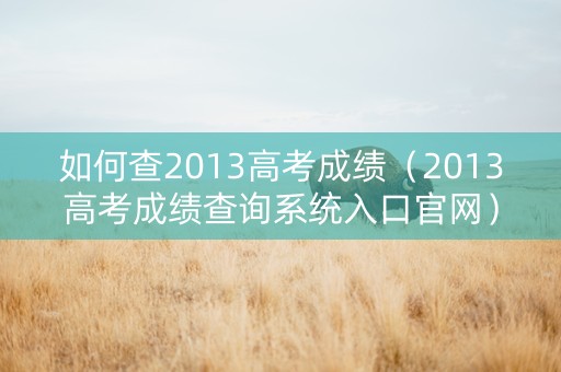 如何查2013高考成绩（2013高考成绩查询系统入口官网）