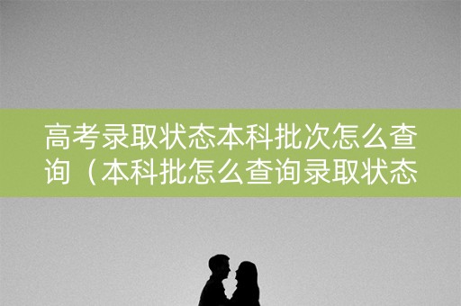 高考录取状态本科批次怎么查询（本科批怎么查询录取状态呀）