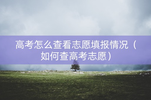 高考怎么查看志愿填报情况（如何查高考志愿）