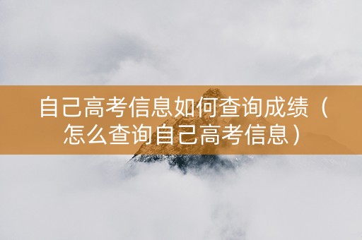 自己高考信息如何查询成绩（怎么查询自己高考信息）