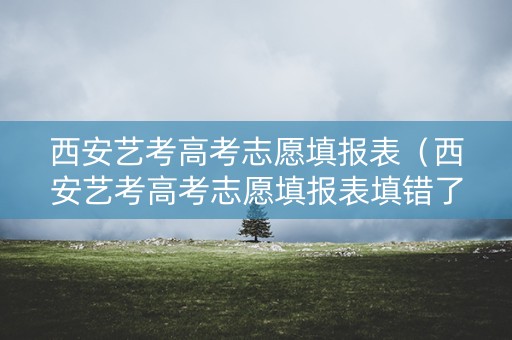 西安艺考高考志愿填报表（西安艺考高考志愿填报表填错了）