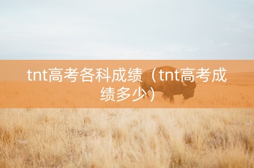 tnt高考各科成绩（tnt高考成绩多少）