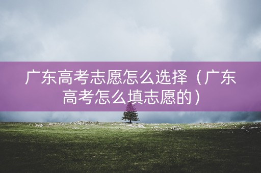 广东高考志愿怎么选择（广东高考怎么填志愿的）