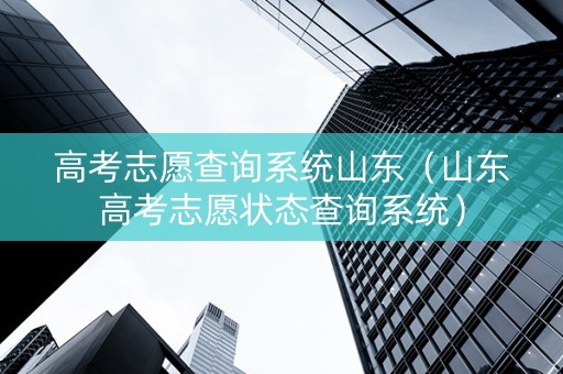 高考志愿查询系统山东（山东高考志愿状态查询系统）