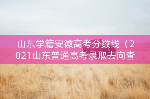 山东学籍安徽高考分数线（2021山东普通高考录取去向查询）