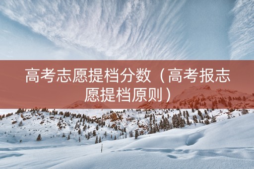 高考志愿提档分数（高考报志愿提档原则）