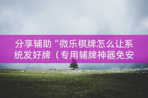 分享辅助“微乐棋牌怎么让系统发好牌（专用辅牌神器免安装）