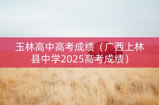玉林高中高考成绩（广西上林县中学2025高考成绩）