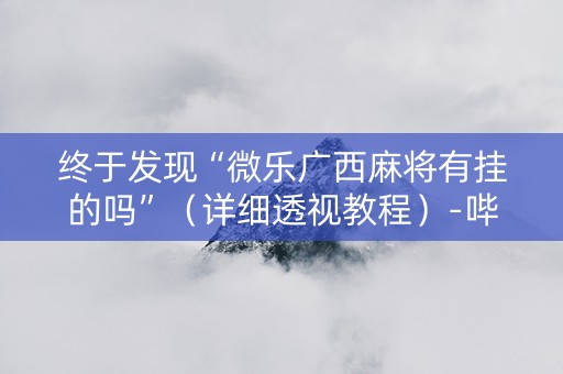终于发现“微乐广西麻将有挂的吗”（详细透视教程）-哔哩哔哩