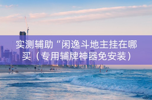 实测辅助“闲逸斗地主挂在哪买（专用辅牌神器免安装）