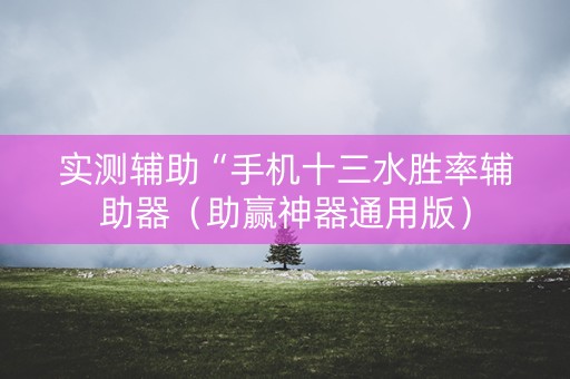 实测辅助“手机十三水胜率辅助器（助赢神器通用版）