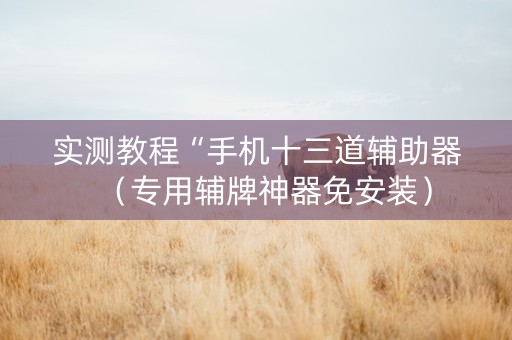 实测教程“手机十三道辅助器（专用辅牌神器免安装）