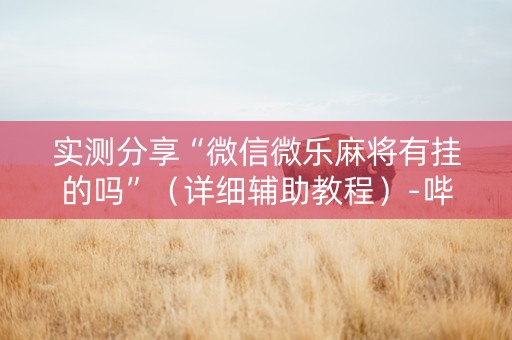 实测分享“微信微乐麻将有挂的吗”（详细辅助教程）-哔哩哔哩