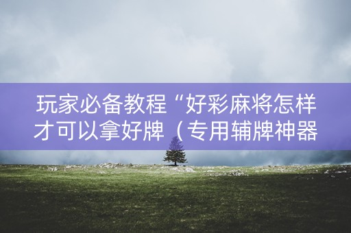 玩家必备教程“好彩麻将怎样才可以拿好牌（专用辅牌神器免安装）