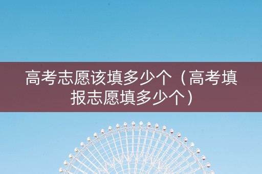 高考志愿该填多少个（高考填报志愿填多少个）