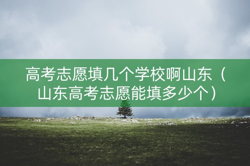 高考志愿填几个学校啊山东（山东高考志愿能填多少个）