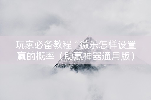 玩家必备教程“微乐怎样设置赢的概率（助赢神器通用版）