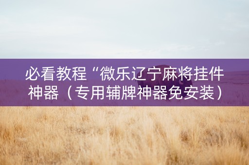 必看教程“微乐辽宁麻将挂件神器（专用辅牌神器免安装）