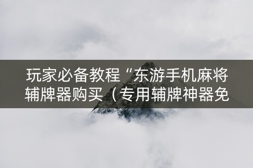 玩家必备教程“东游手机麻将辅牌器购买（专用辅牌神器免安装）