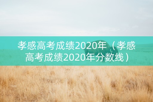 孝感高考成绩2020年（孝感高考成绩2020年分数线）