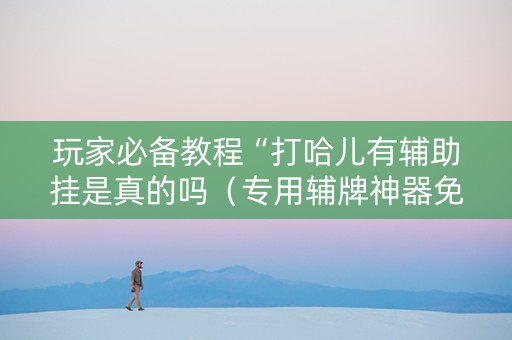 玩家必备教程“打哈儿有辅助挂是真的吗（专用辅牌神器免安装）
