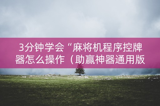 3分钟学会“麻将机程序控牌器怎么操作（助赢神器通用版）