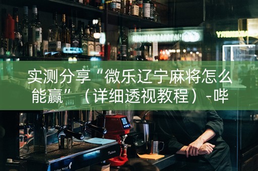 实测分享“微乐辽宁麻将怎么能赢”（详细透视教程）-哔哩哔哩