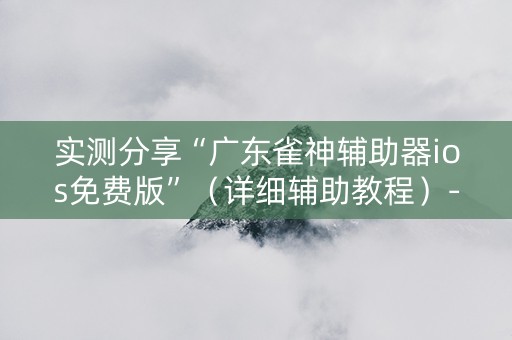 实测分享“广东雀神辅助器ios免费版”（详细辅助教程）-哔哩哔哩