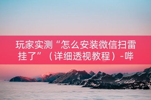 玩家实测“怎么安装微信扫雷挂了”（详细透视教程）-哔哩哔哩